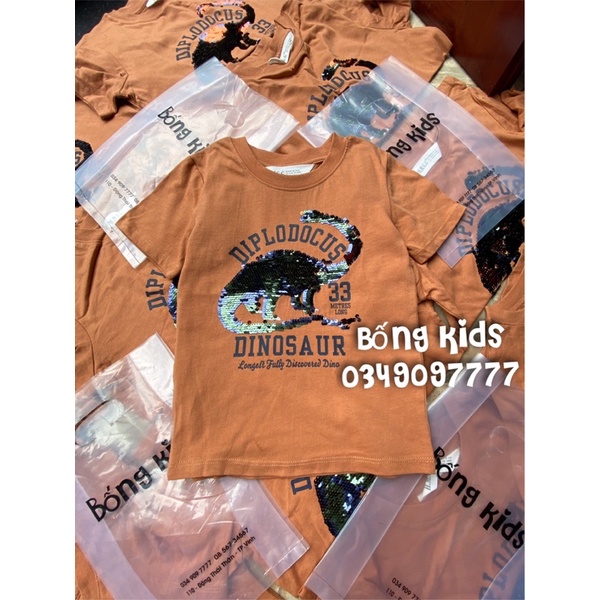 Áo Phông Bé Trai Khủg Long Sequin Nâu Cam HaM