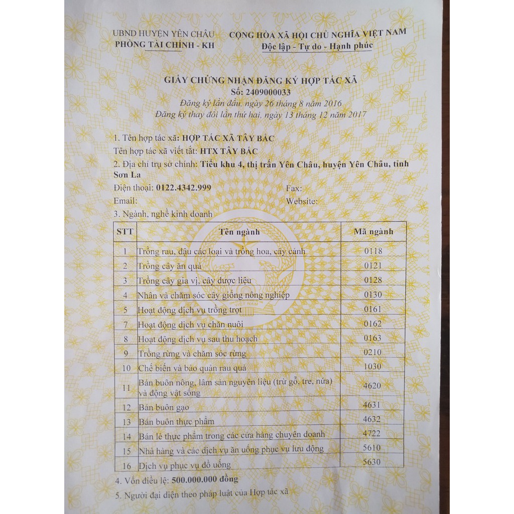 Tỏi Đen Cô Đơn loại Víp [1kg/ 2 hộp 500g] | BigBuy360 - bigbuy360.vn