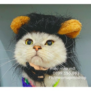 NÓN COSPLAY HÌNH THÚ CHO MÈO