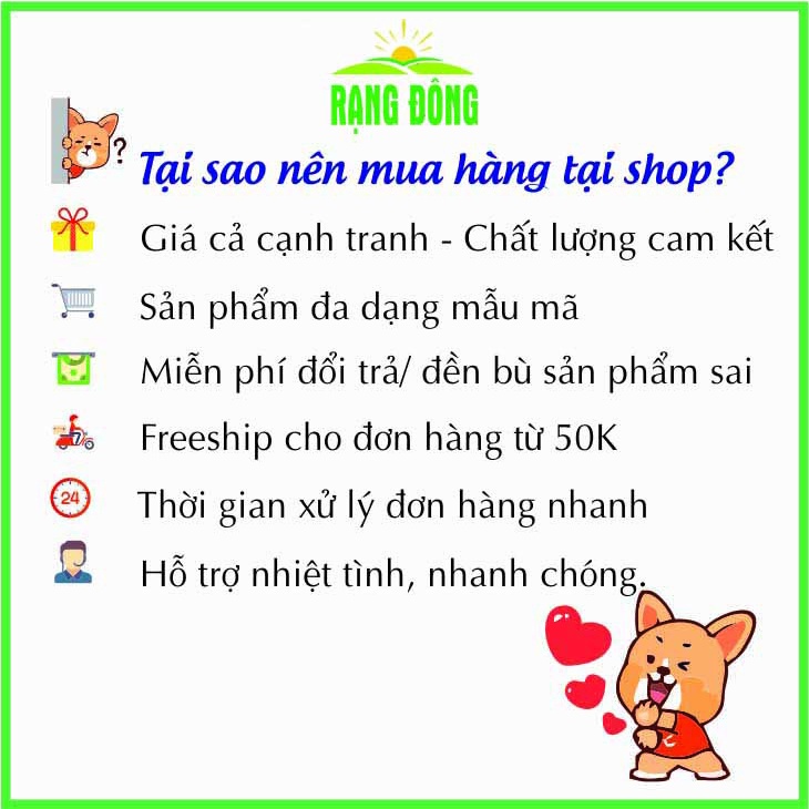 Hạt giống Khổ Qua Mỡ Trái Dài Chịu Nhiệt Tốt, Sinh Trưởng Khỏe, Trồng Quanh Năm (gói 2 gram) - Hạt giống Rạng Đông