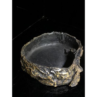 CHÉN NƯỚC, CHÉN ĂN  CHO BÒ SÁT CỦA HT- EXOTIC ZONE P1