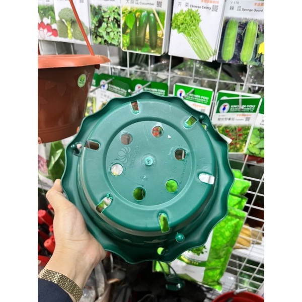 Chậu treo tai bèo Talopa cao cấp Kích Thước 26*13cm- kèm dây treo