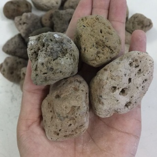 Đá lông vũ nham thạch trắng Indo nhập khẩu