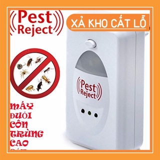 [FREE SHIP] Máy đuổi côn trùng Pest Reject [XẢ KHO HOT]