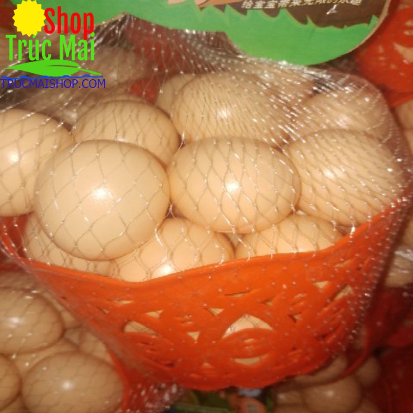 Giỏ trứng gà nhựa 25 quả