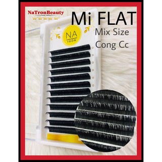 MI FLAT ( NGỌN ĐÔI ) (0.15)