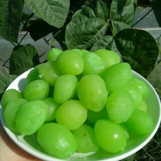 Combo 2kg Đào giòn chuẩn vị Đà Lạt