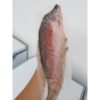 [CHỈ GIAO HCM] Cá thác lác rút xương - Thác lát rút xương ướp sẵn - Đặc sản Hậu Giang (Size 4 con/1kg)