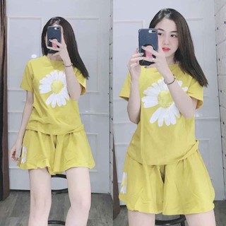 Đồ bộ mặc nhà nữ quần giả váy áo in hoa cúc thun cotton mát mịn