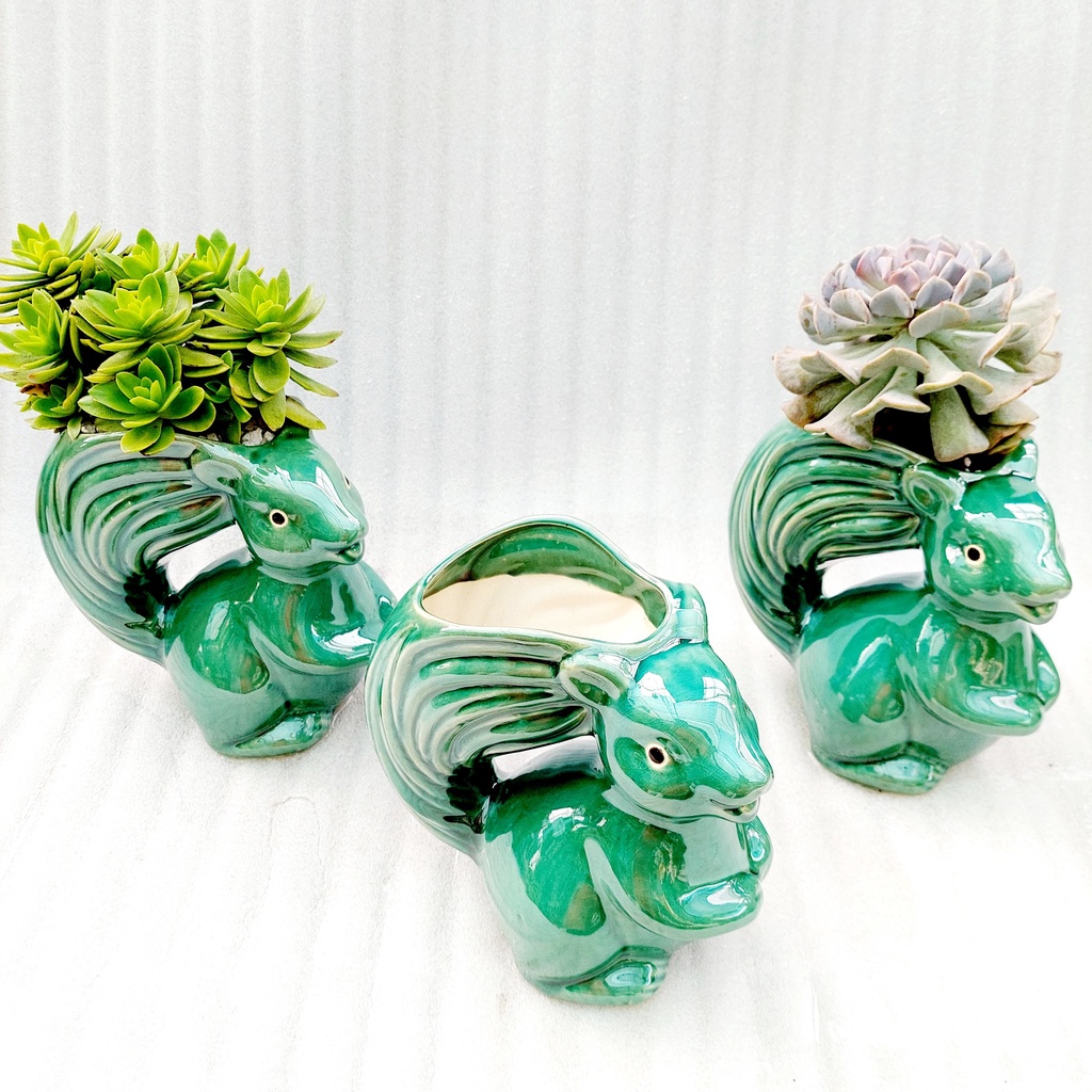 Chậu men, Chậu sen đá - Sóc tinh nghịch, miệng chậu (dọc 11cm, ngang 9cm), chiều cao 20cm