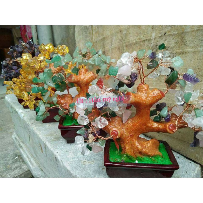 Cây tài lộc 15cm đủ màu
