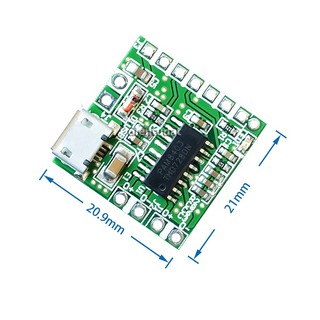 Mạch Khuếch Đại Âm Thanh PAM8403 Cổng Micro USB