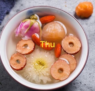 Hoa cúc trắng ( bạch cúc)
