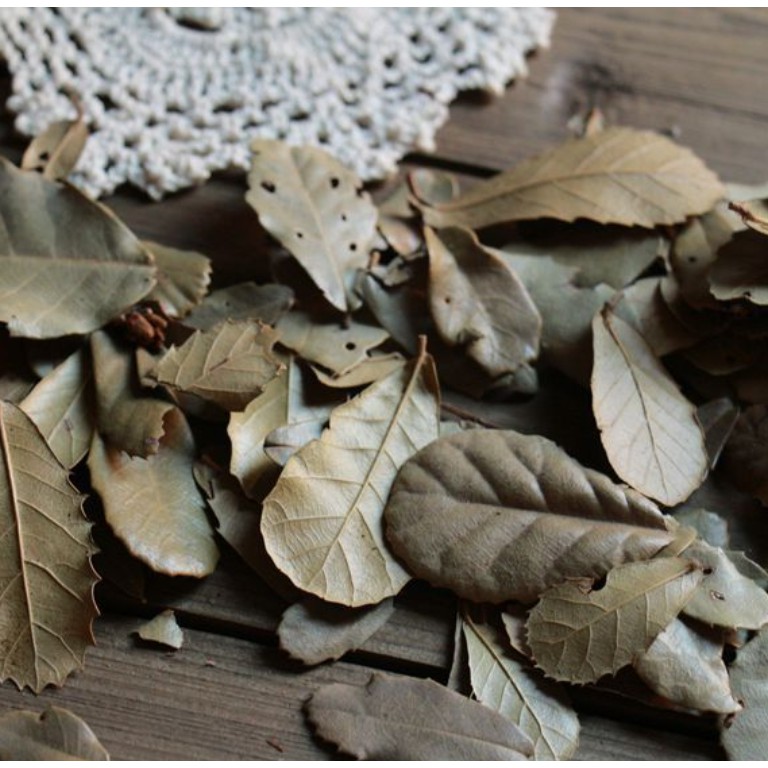 Lá cây khô làm đạo cụ chụp ảnh, decor, chụp ảnh, trang trí 2 màu vàng, đỏ