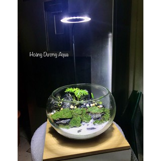 ĐÈN LED ĐẾ GỖ SANG TRỌNG