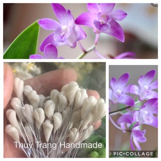 20 nhuỵ lan đất sét (nhiều màu để chọn)