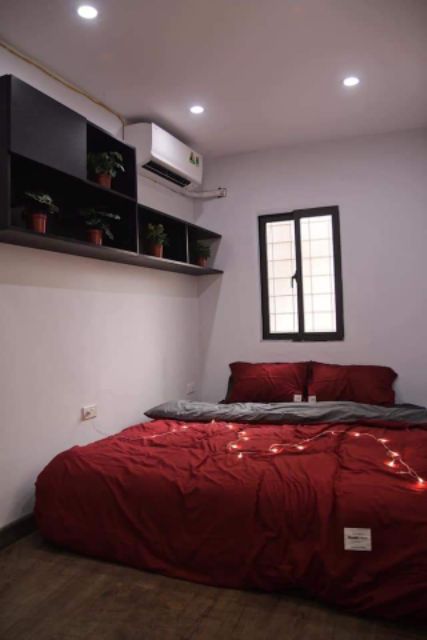 Bộ chăn ga gối Coton TC xuất nhật( có video) | BigBuy360 - bigbuy360.vn