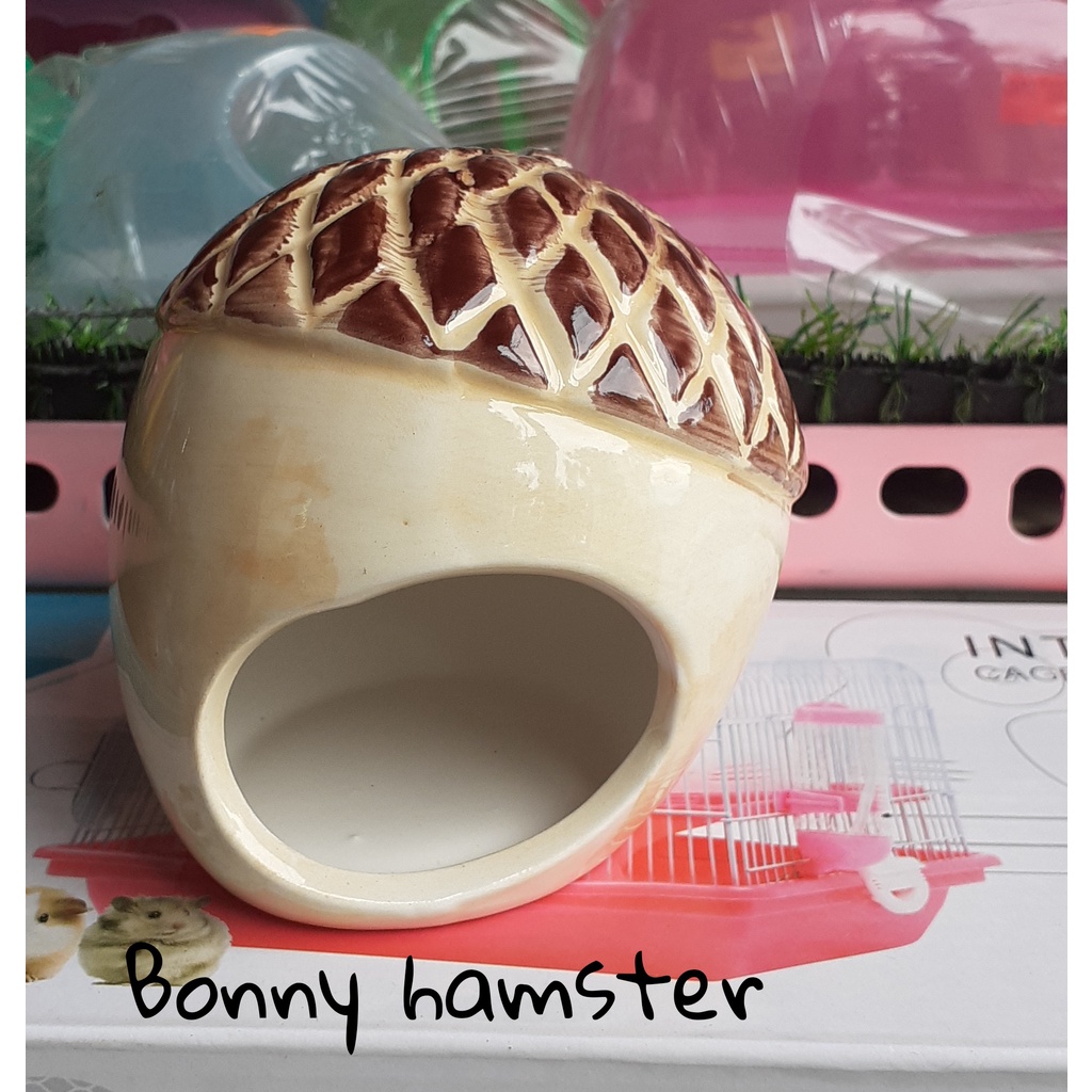 Nhà ngủ sứ hình Nấm hương dành cho hamster