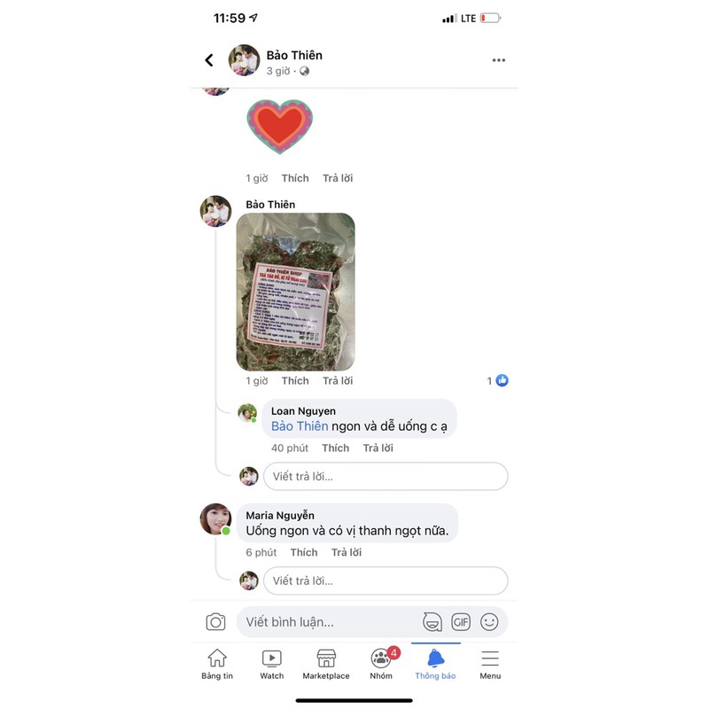 trà táo đỏ, kì tử, ngải cứu...