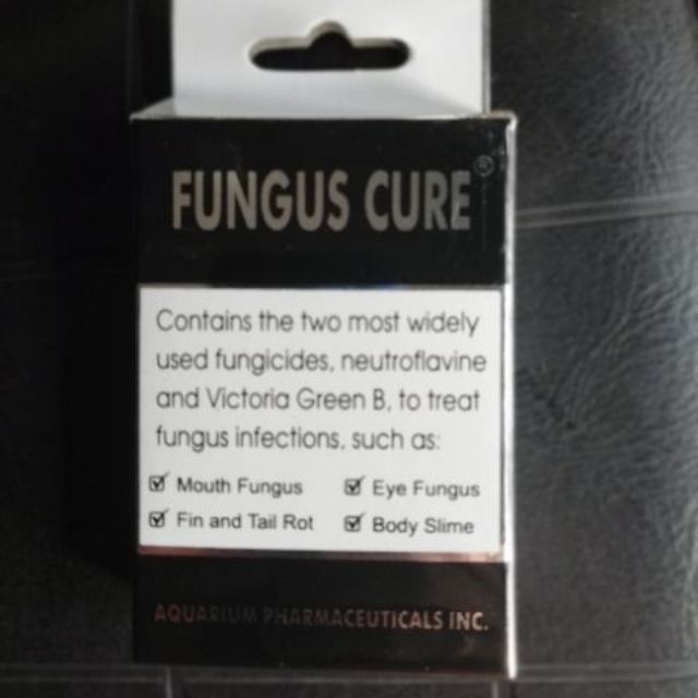 Fungus Cure nâu hỗ trợ cho cá nhiễm khuẩn nấm đục mắt thối rữa vây và đuôi