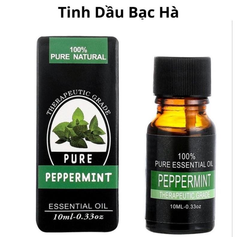 [Xả hàng nghỉ tết] Lọ 10ml Tinh Dầu Thiên Nhiên Nguyên Chất Nhiều Mùi Thơm Phòng Giúp Bạn Thư Giãn Sảng Khoái Mỗi Ngày