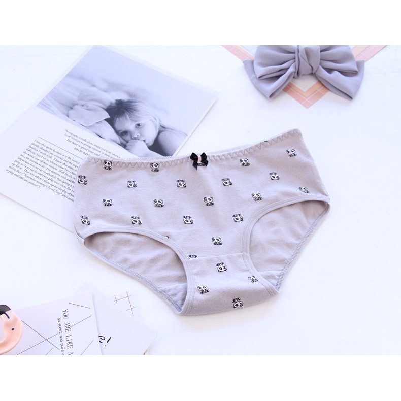 Quần Lót Nữ - Quần Lót Nữ Cotton in hình gấu trúc kháng khuẩn mỏng mát tôn dáng DAN STORE MÃ 3536