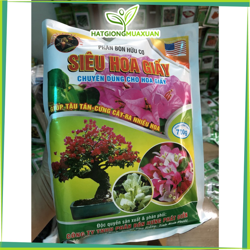 Phân bón chuyên dùng cho hoa giấy-Siêu hoa giấy