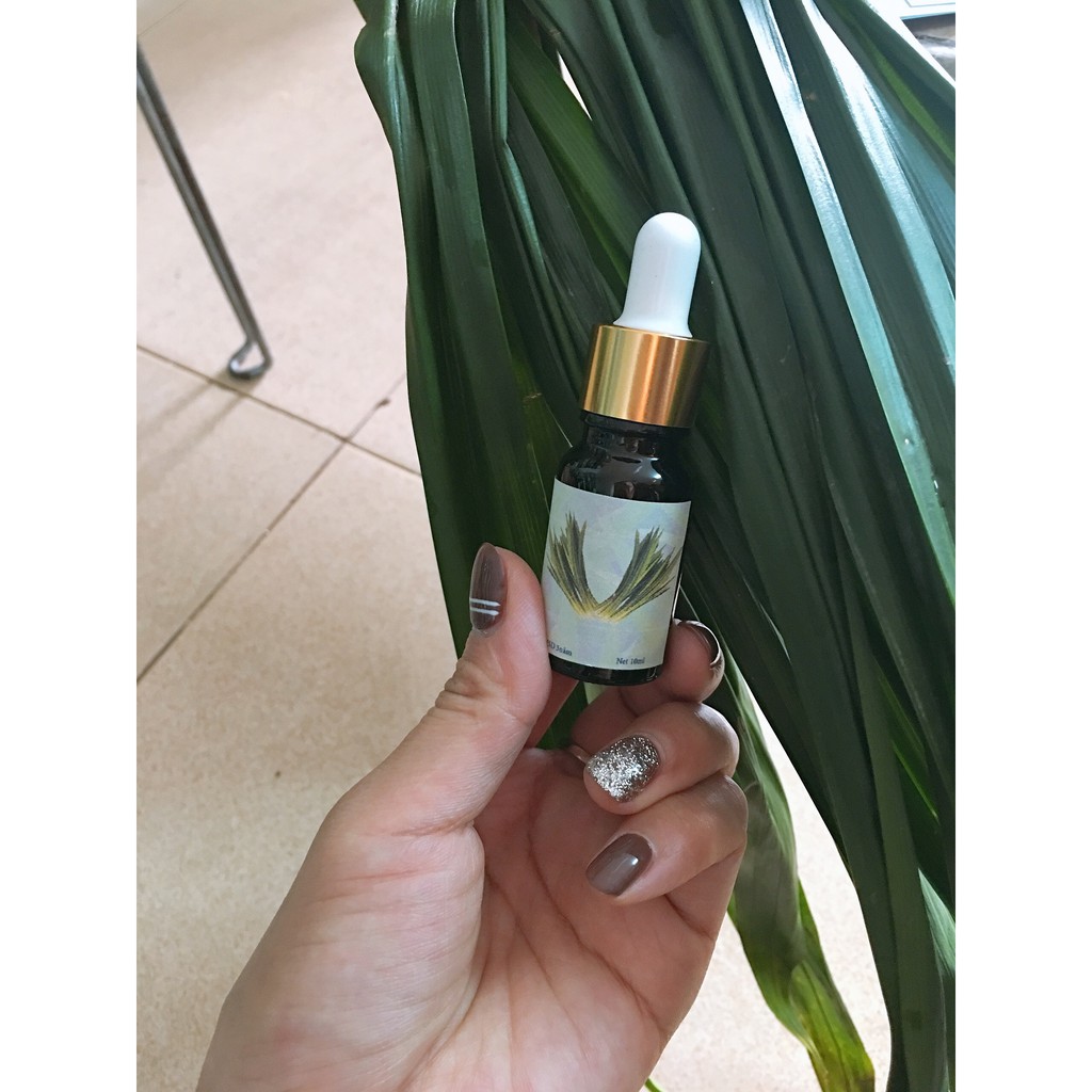 Tinh dầu Lá Nếp thơm lọ 10ml