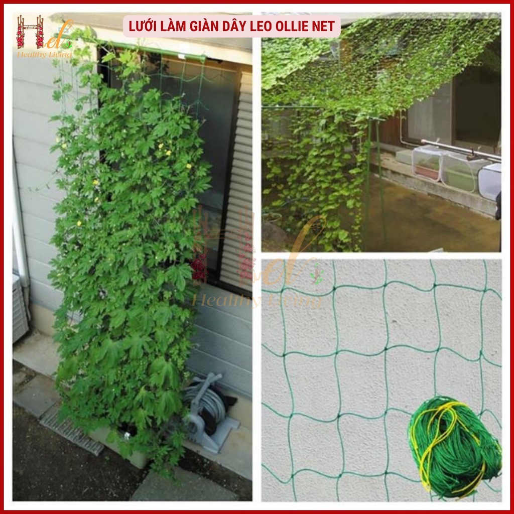 Lưới Làm Giàn Dây Leo (0,9m x 1,8m) Lưới Làm Giàn Dưa Leo, Hoa, Đậu Leo, Giàn Cây Bền Chắc