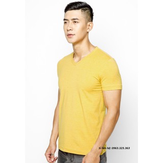 Áo thun nam cotton cổ tim