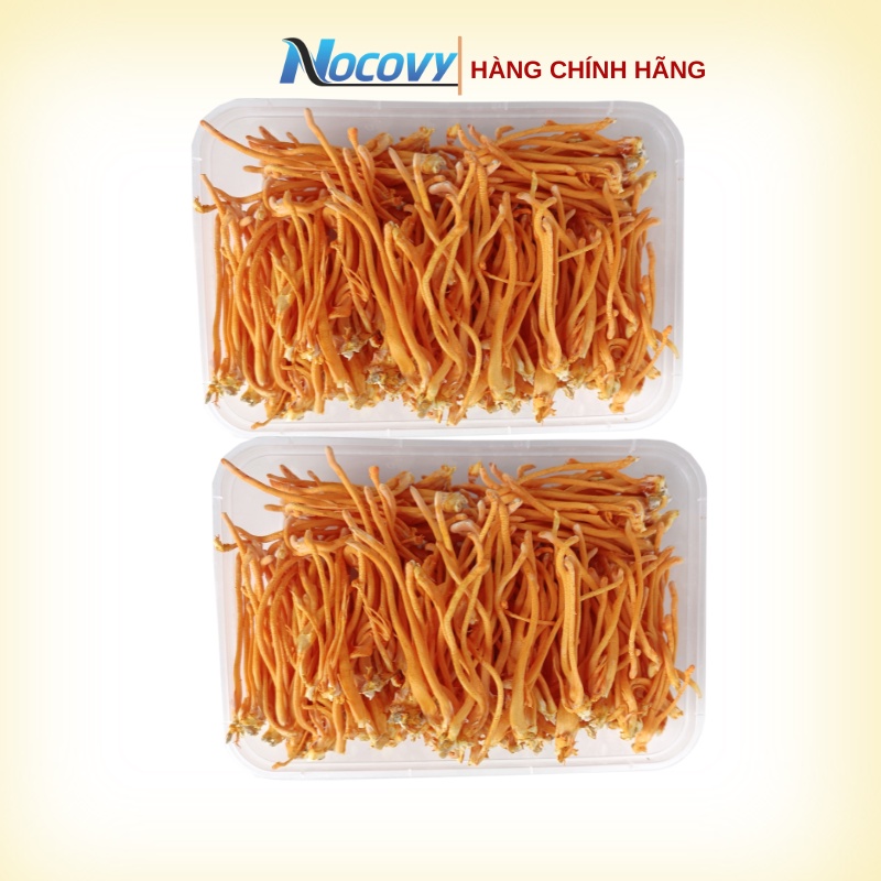 Đông trùng hạ thảo tươi nguyên sợi Nocovy hữu cơ hàng chuẩn, bảo hành tốt