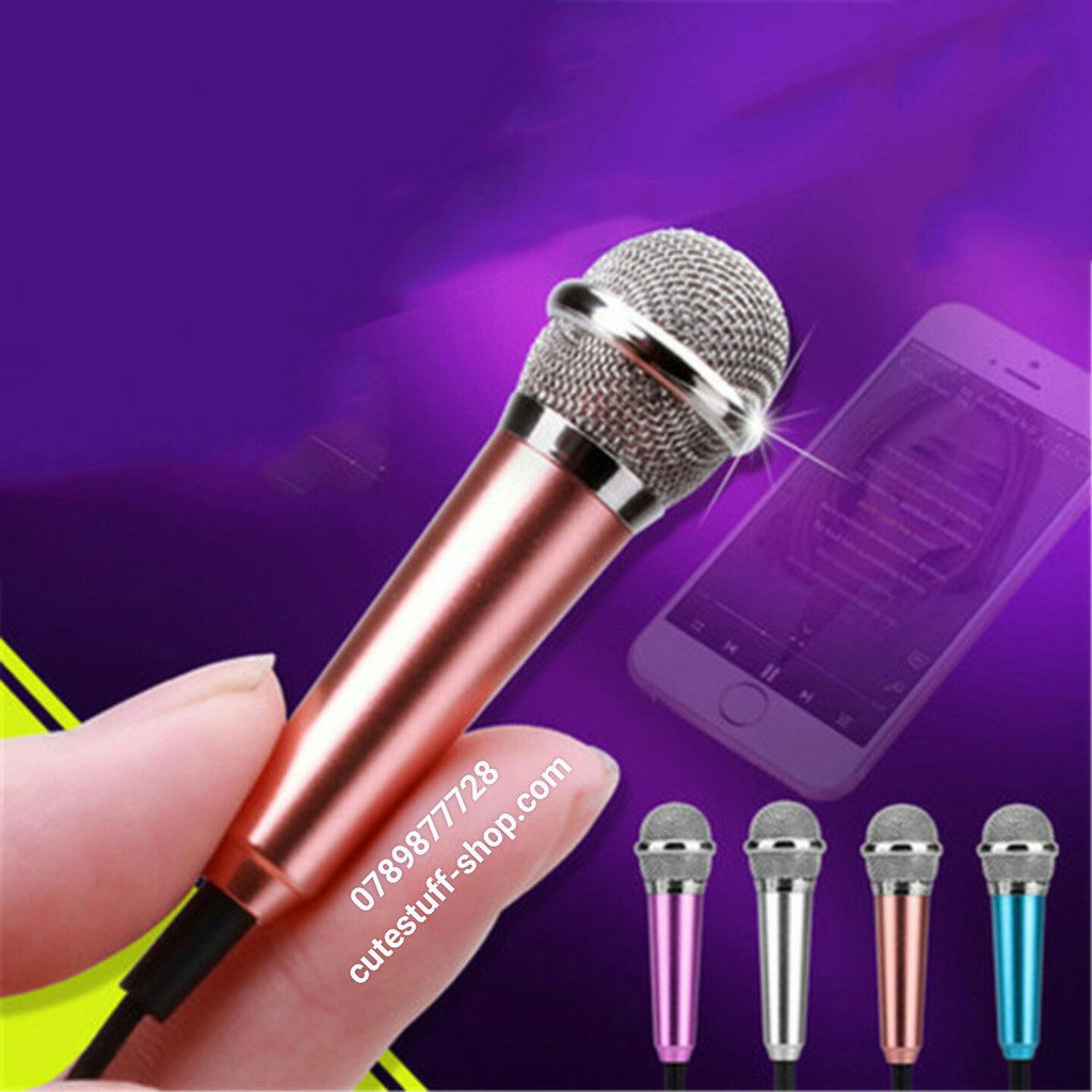 Microphone Mini
