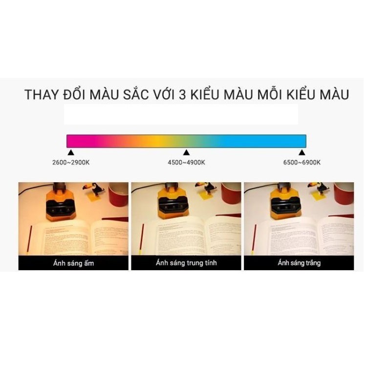 Đèn học chống cận  LED Rạng Đông, 2 năm bảo hành RD-RL-32