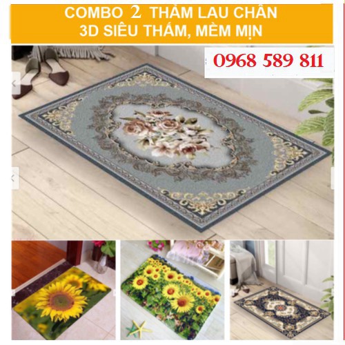Combo 2 Thảm Chùi Chân 3D - Thảm Lau Chân 3D Màu Họa Tiết Đep KT 40x60cm