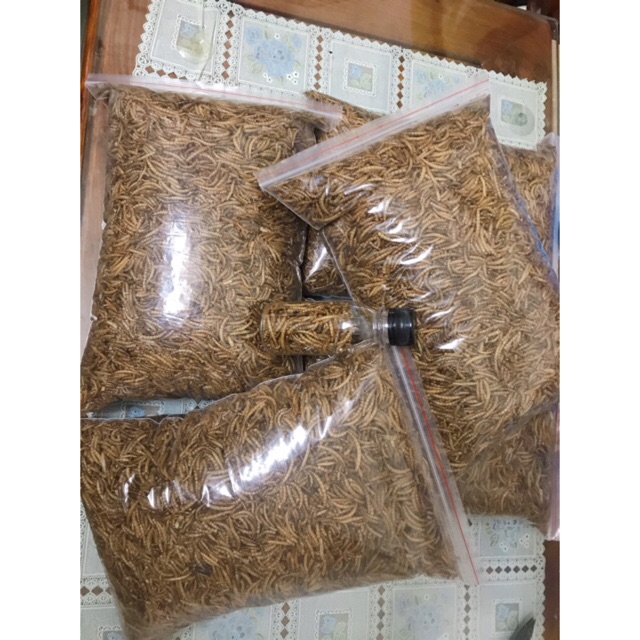 Sâu rang Hamster 500g