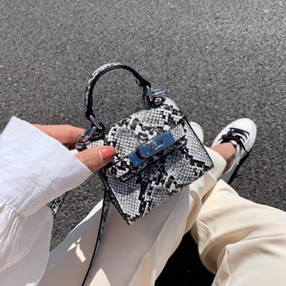 Túi Hơ mẹc da rắn-size mini