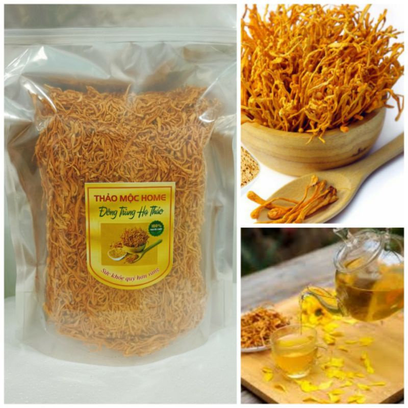 100G ĐÔNG TRÙNG HẠ THẢO SẤY BÁN THĂNG HOA VIỆT NAM