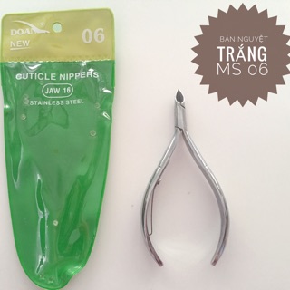 • | KỀM BÁN NGUYỆT TRẮNG | •