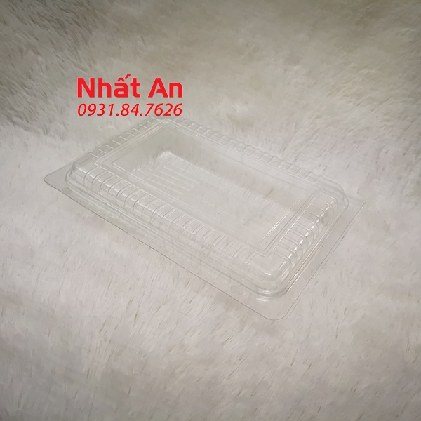 Hộp nhựa trong nắp gặp hình chữ nhật MT - H25