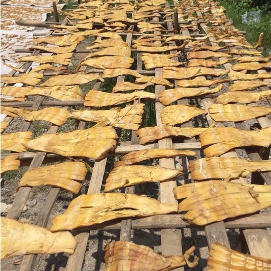 1kg Măng khô đặc sản núi rừng Tây Bắc, Măng đẹp loại 1