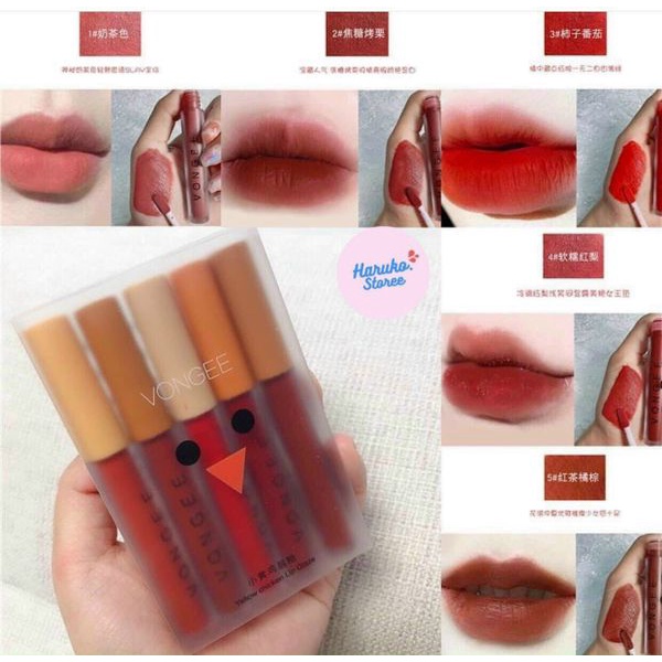Set 5 cây sonVongee hình gấu bảng dẹt