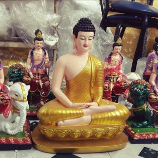 Tượng phật bổn sư thích ca y chéo 50cm