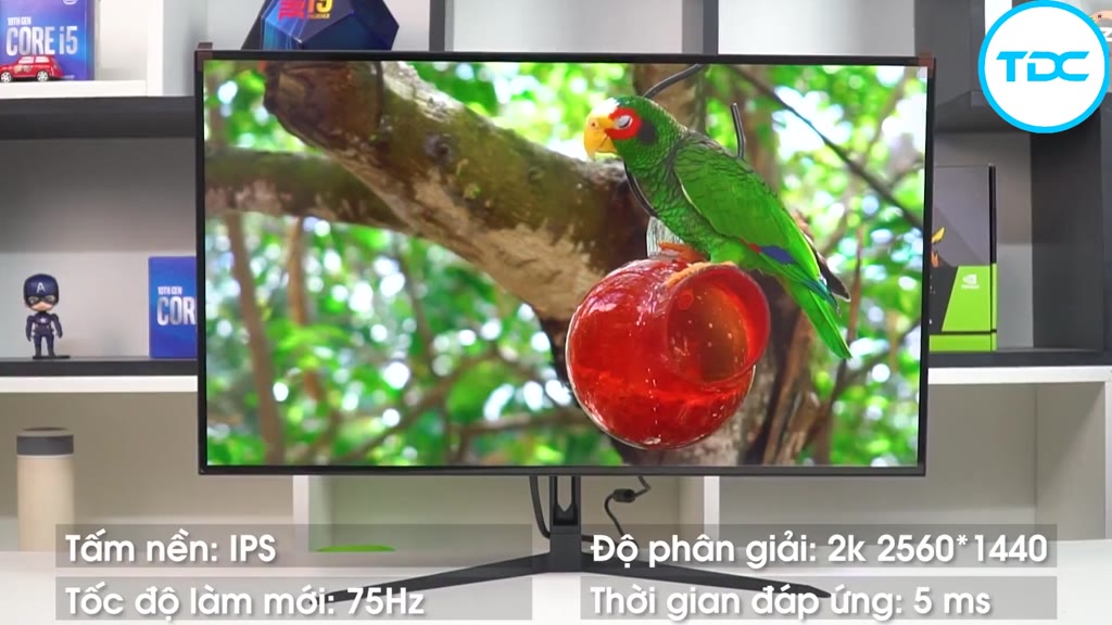 Màn Hình MÁY TÍNH 27 INCH - 2K  - 100Hz - IPS - Tràn  Viền - New FULL BOX CHÍNH HÃNG | BigBuy360 - bigbuy360.vn