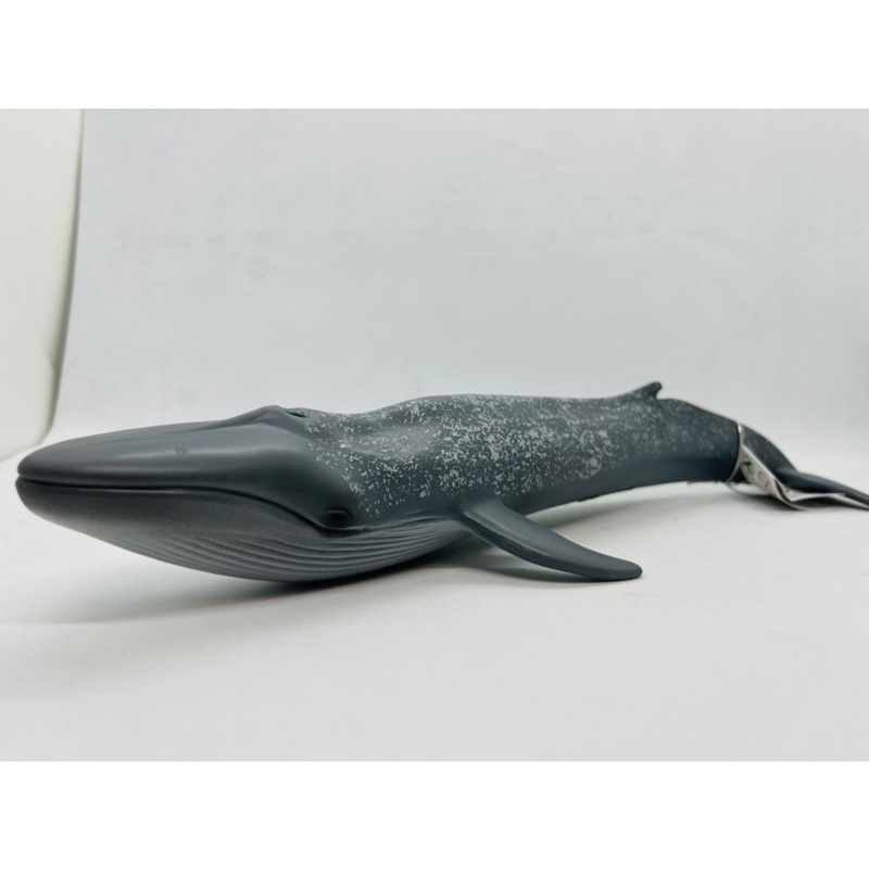 Mô hình động vật , đồ chơi con vật CollectA chính hãng Cá voi xanh 88834 - Schleich House