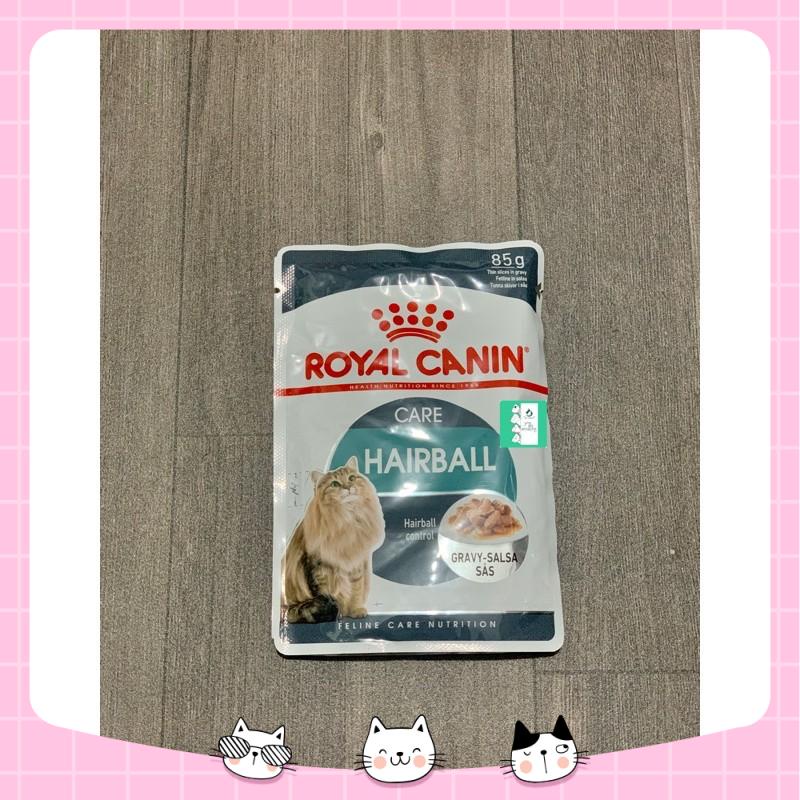 Pate Royal Canin Hairball cho mèo 85g