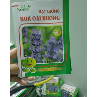 hạt giống hoa oải hương - Rau củ quả trồng tại vườn, sân thượng, nông trang, ban công