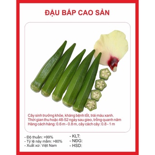 Hạt giống Đậu Bắp Xanh 10gram hạt giống bốn mùa