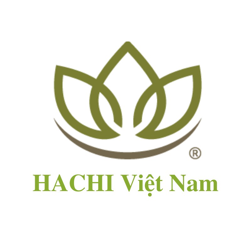 Hachi_Việt_Nam