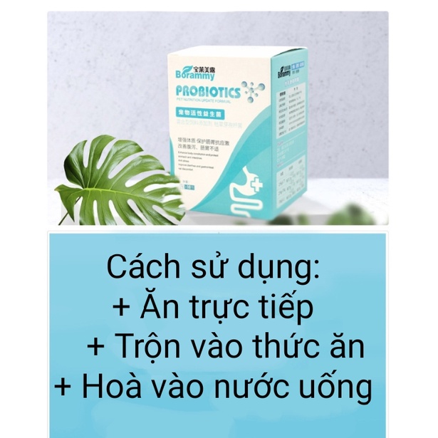 Men vi sinh cho chó mèo Borammy Probiotics gói 5g - Men tiêu hóa cho chó mèo