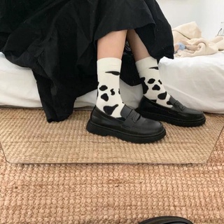 TẤT BÒ SỮA CỔ CAO